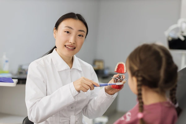 A dentist at Clementi explaining a dental procedure using a teeth model