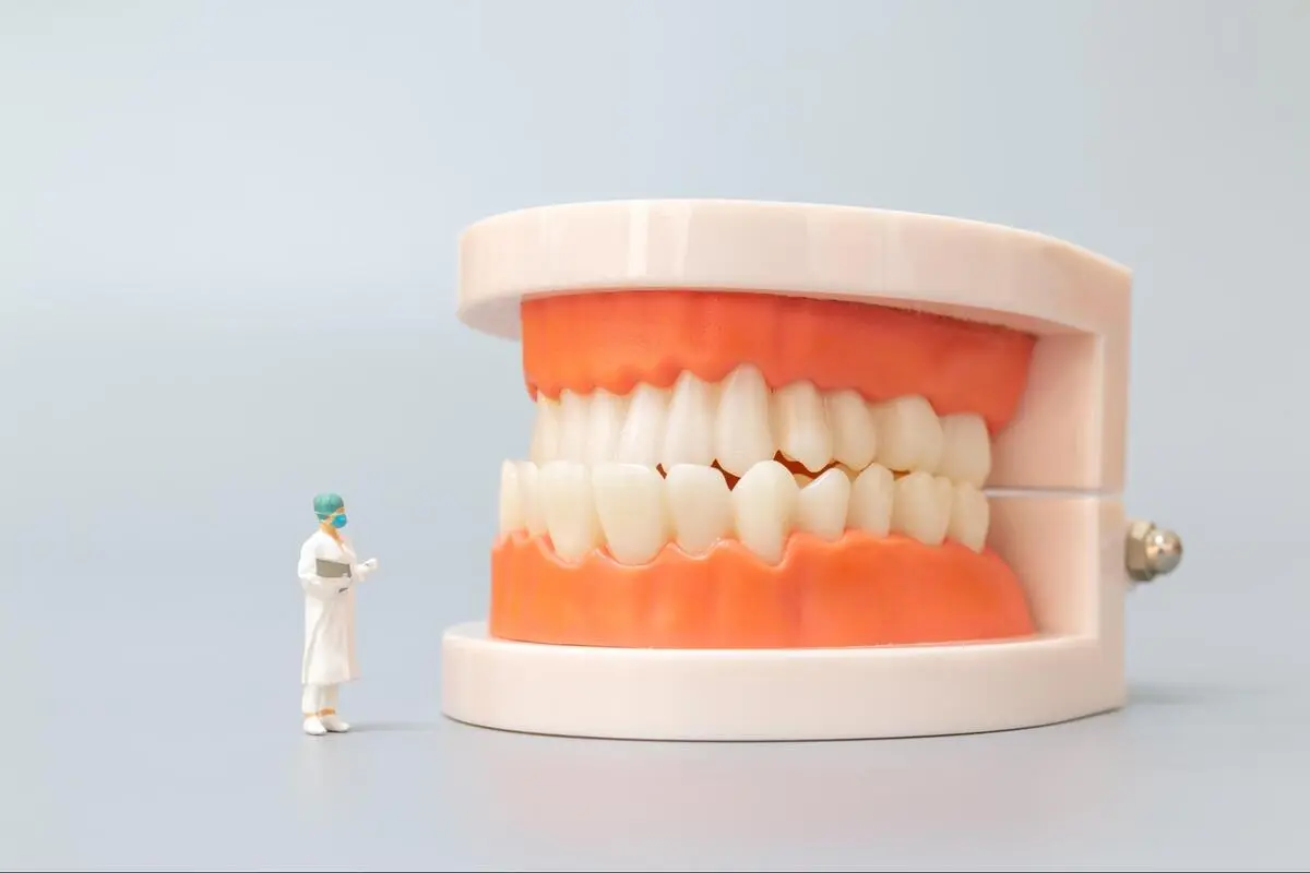 A miniature dentist figurine standing next to a large model of teeth and gums.