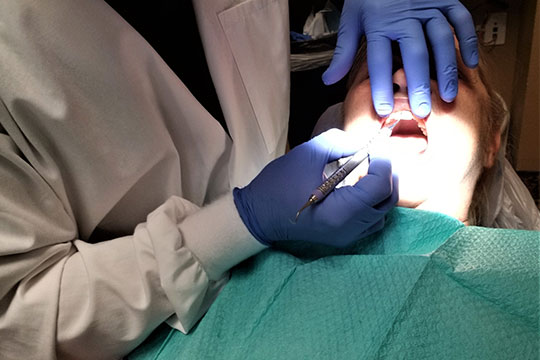 Dentist Dental Care Dentist Dental Care