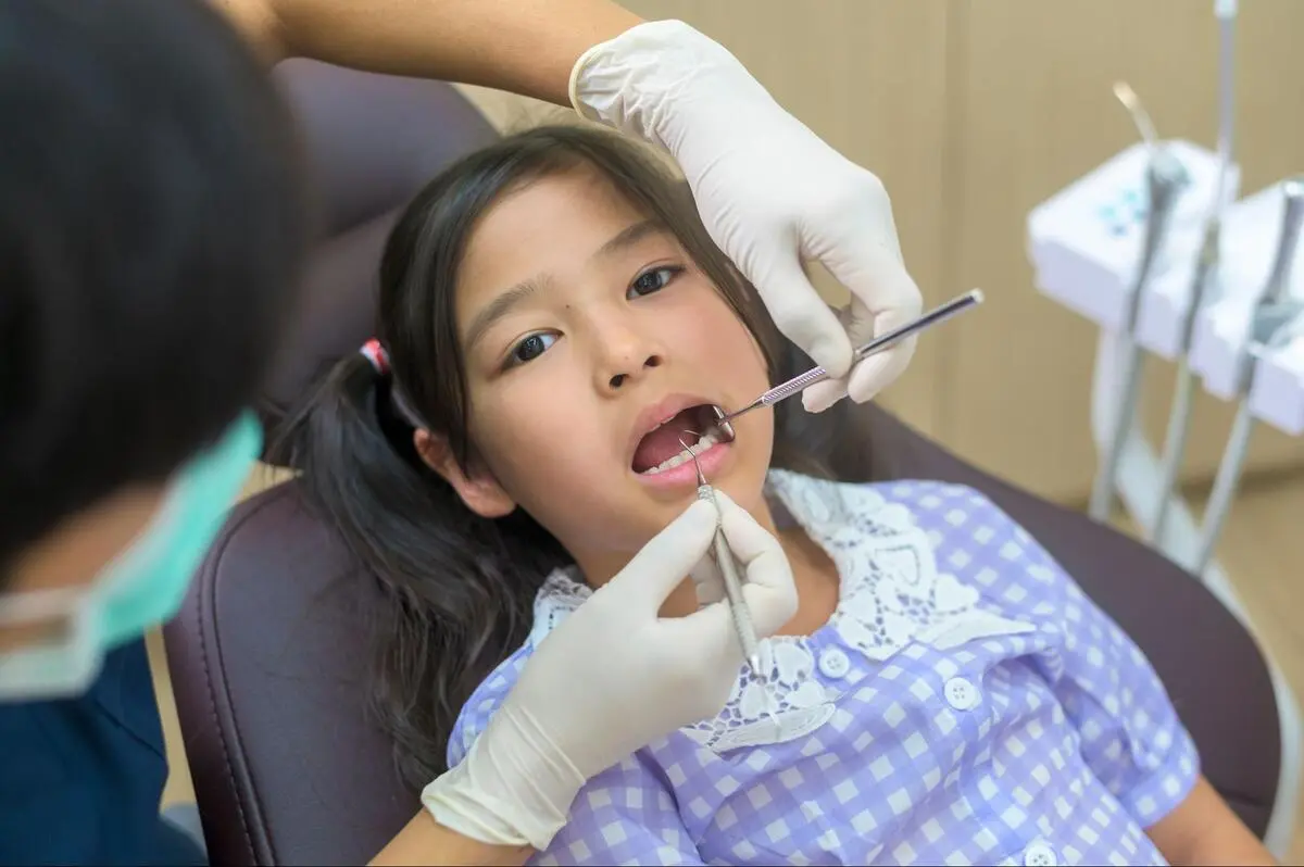 Young girl receiving a routine dental examination by a dentist during a check-up visit
Image title: Routine dental examination for a young patient