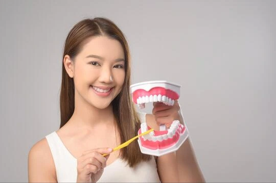 A woman holding a large model of teeth and a toothbrush, demonstrating how to maintain oral hygiene for crowns and implants.