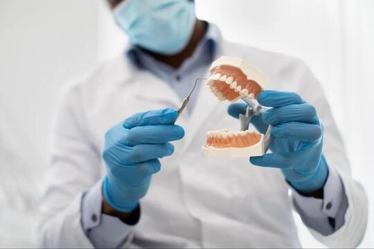 A dentist in a white coat holding a dental jaw model, demonstrating restorative procedures.